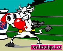 Коровий бокс