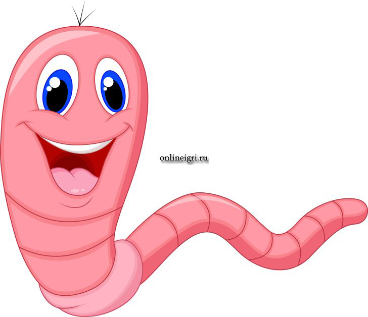 Вормс worms