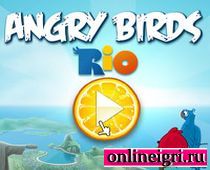 Angry Birds Rio (  )